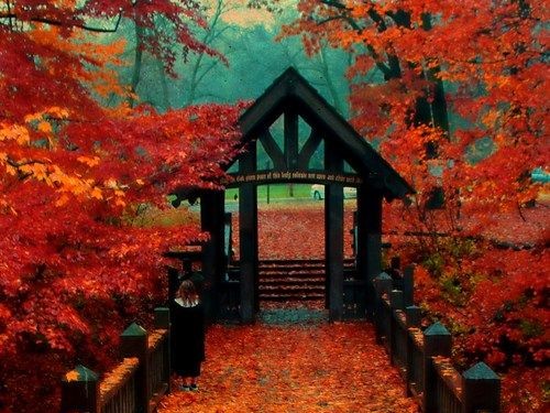 Seasonal Specials at Knick Salon and Spa Milwaukee